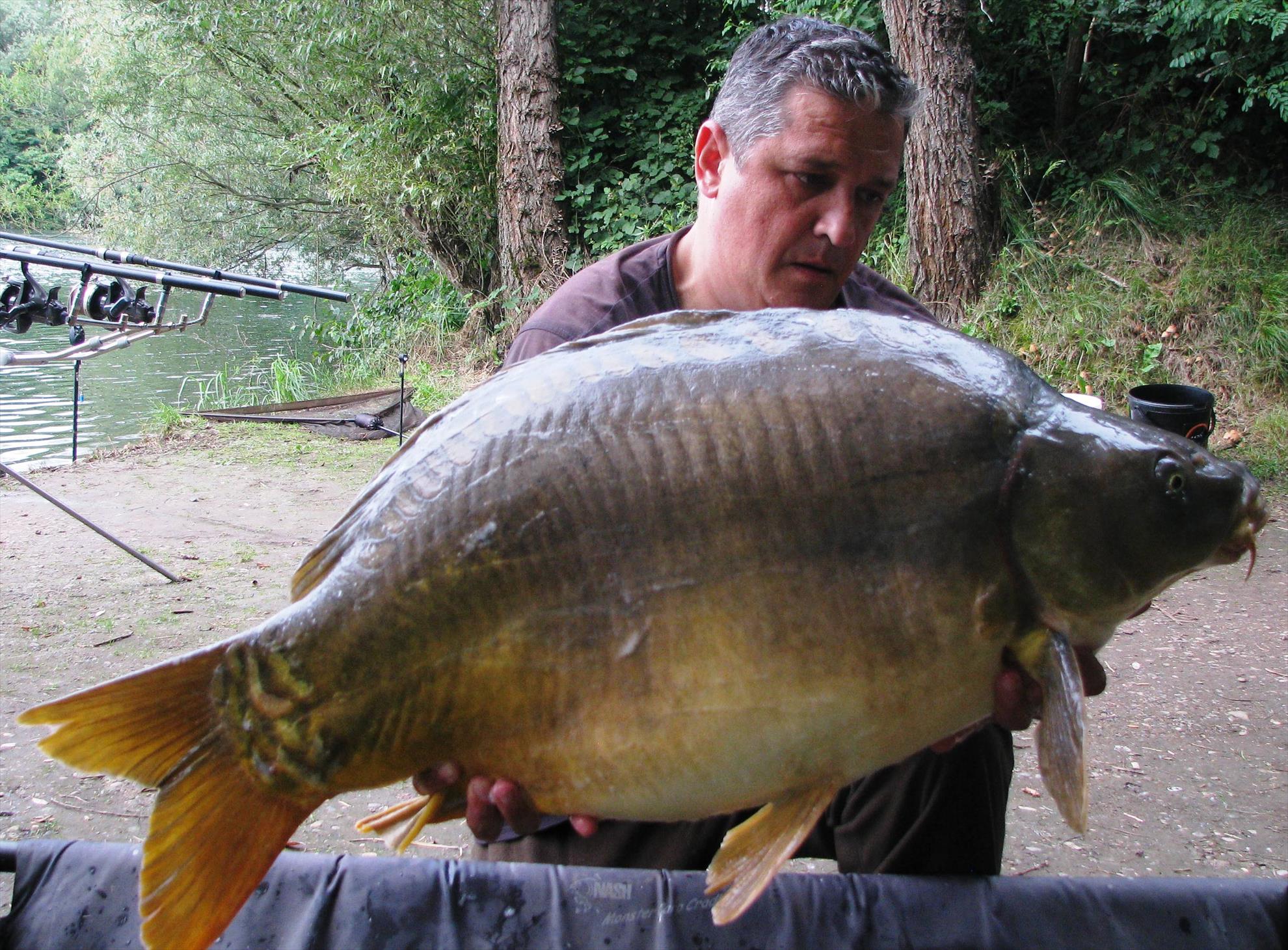 Pelagicevo Jezero - final iunie 2015 - img2253.JPG